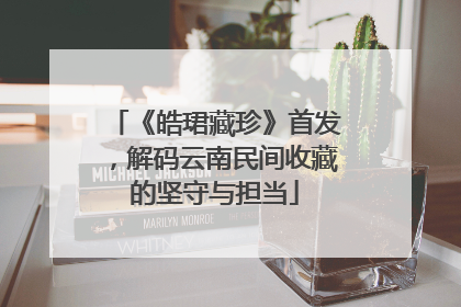 《皓珺藏珍》首发，解码云南民间收藏的坚守与担当