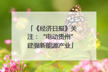 《经济日报》关注：“电动贵州”建强新能源产业