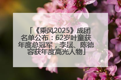 《乘风2025》成团名单公布：62岁叶童获年度总冠军，李晟、陈德容获年度高光人物