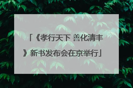 《孝行天下 善化清丰》新书发布会在京举行