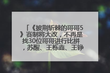 《披荆斩棘的哥哥5》赛制将大改，不再是找30位哥哥进行比拼，苏醒、王栎鑫、王铮亮、张远等多名男团选手被曝将参加