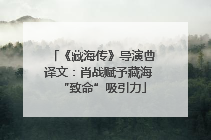 《藏海传》导演曹译文：肖战赋予藏海“致命”吸引力