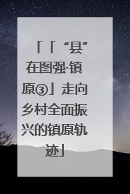 「“县”在图强·镇原③」走向乡村全面振兴的镇原轨迹