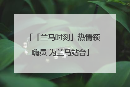 「兰马时刻」热情领嗨员 为兰马站台