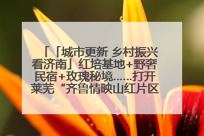 「城市更新 乡村振兴看济南」红培基地+野奢民宿+玫瑰秘境……打开莱芜“齐鲁情映山红片区”的破圈秘籍