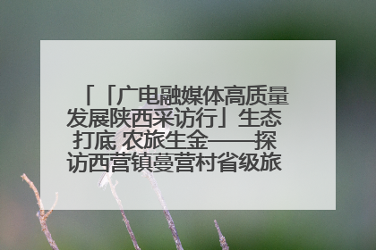 「广电融媒体高质量发展陕西采访行」生态打底 农旅生金——探访西营镇蔓营村省级旅游示范村的振兴密码