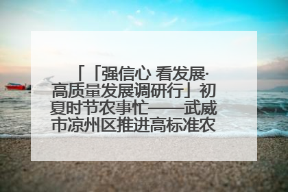 「强信心 看发展·高质量发展调研行」初夏时节农事忙——武威市凉州区推进高标准农田建设见闻