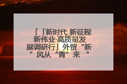 「新时代 新征程 新伟业·高质量发展调研行」外贸“新”风从“青”来 “双向奔赴”启新程