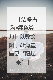 「洁净青海•绿色算力」以数绘图，让海量信息“跑起来”