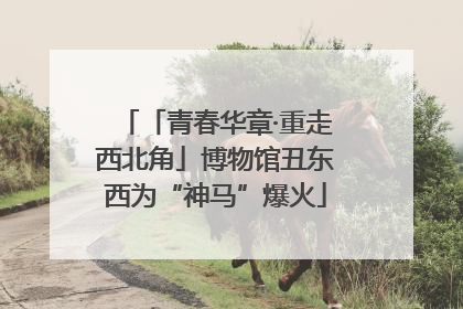「青春华章·重走西北角」博物馆丑东西为“神马”爆火