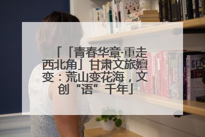 「青春华章·重走西北角」甘肃文旅嬗变：荒山变花海，文创“语”千年