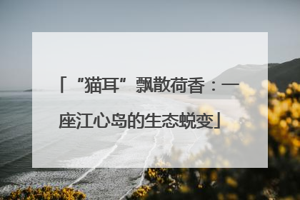 “猫耳”飘散荷香：一座江心岛的生态蜕变