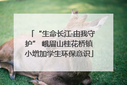 “生命长江·由我守护” 峨眉山桂花桥镇小增加学生环保意识