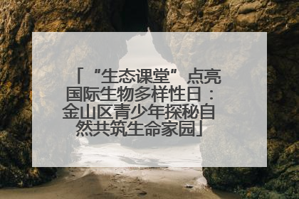 “生态课堂”点亮国际生物多样性日：金山区青少年探秘自然共筑生命家园