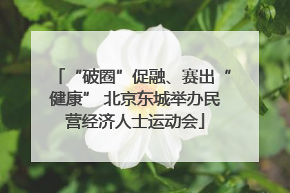 “破圈”促融、赛出“健康” 北京东城举办民营经济人士运动会