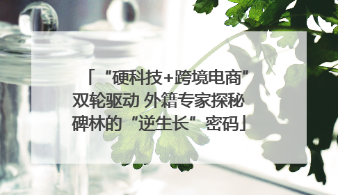 “硬科技+跨境电商”双轮驱动 外籍专家探秘碑林的“逆生长”密码
