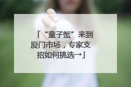 “童子蟹”来到厦门市场，专家支招如何挑选→