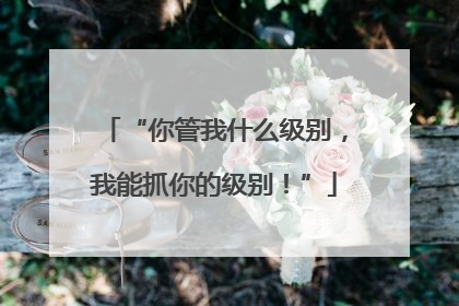 “你管我什么级别，我能抓你的级别！”