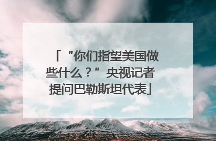 “你们指望美国做些什么？”央视记者提问巴勒斯坦代表