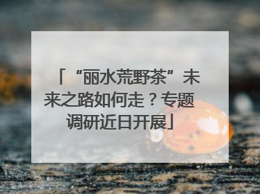 “丽水荒野茶”未来之路如何走？专题调研近日开展