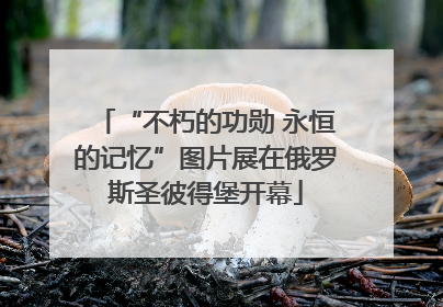 “不朽的功勋 永恒的记忆”图片展在俄罗斯圣彼得堡开幕
