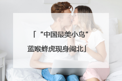 “中国最美小鸟”蓝喉蜂虎现身闽北