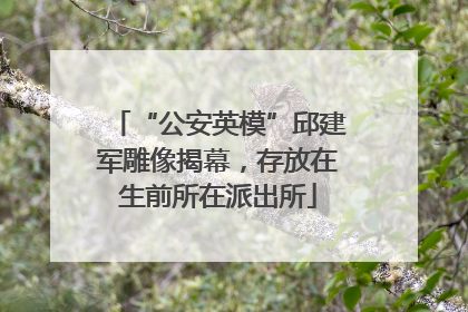 “公安英模”邱建军雕像揭幕，存放在生前所在派出所