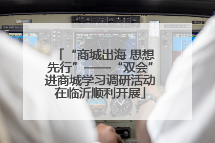 “商城出海 思想先行”——“双会”进商城学习调研活动在临沂顺利开展