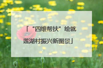 “四维帮扶”绘就莲湖村振兴新图景