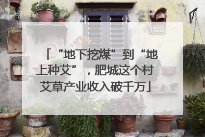 “地下挖煤”到“地上种艾”，肥城这个村艾草产业收入破千万
