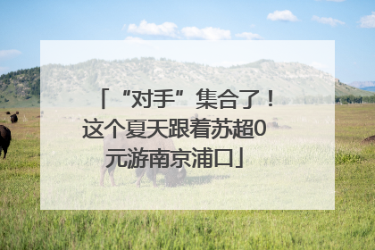 “对手”集合了！这个夏天跟着苏超0元游南京浦口
