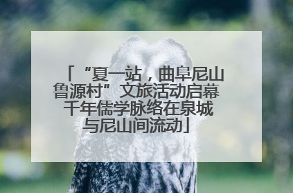 “夏一站，曲阜尼山鲁源村”文旅活动启幕 千年儒学脉络在泉城与尼山间流动