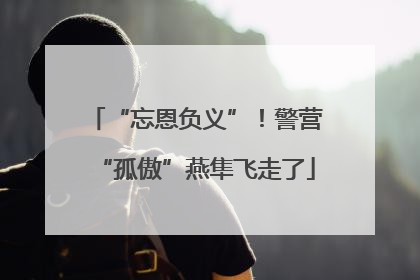 “忘恩负义”！警营“孤傲”燕隼飞走了