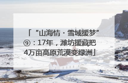 “山海情・雪域援梦”⑨：17年，潍坊援藏把4万亩高原荒漠变绿洲