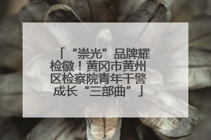“崇光”品牌耀检徽！黄冈市黄州区检察院青年干警成长“三部曲”