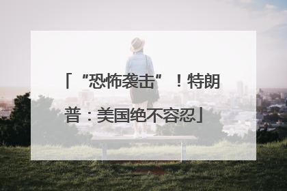 “恐怖袭击”！特朗普：美国绝不容忍