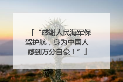 “感谢人民海军保驾护航，身为中国人感到万分自豪！”