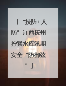 “技防+人防”江西抚州拧紧水库汛期安全“防御弦”