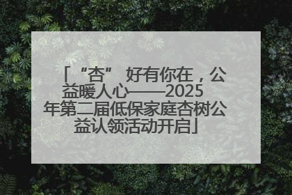 “杏” 好有你在，公益暖人心——2025 年第二届低保家庭杏树公益认领活动开启