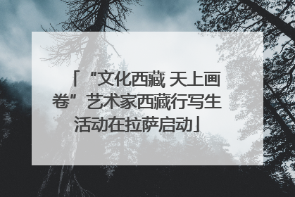 “文化西藏 天上画卷”艺术家西藏行写生活动在拉萨启动
