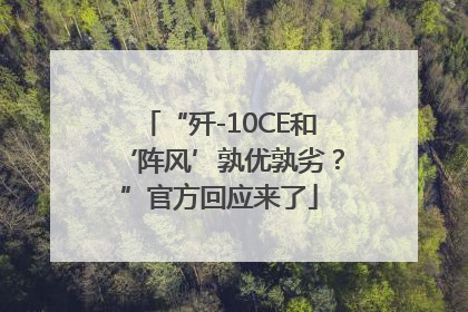 “歼-10CE和‘阵风’孰优孰劣？”官方回应来了