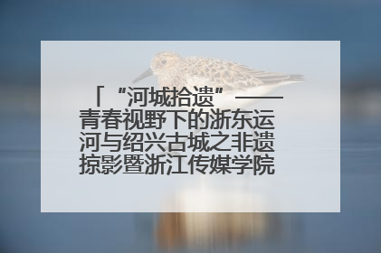 “河城拾遗”——青春视野下的浙东运河与绍兴古城之非遗掠影暨浙江传媒学院小学期来绍
