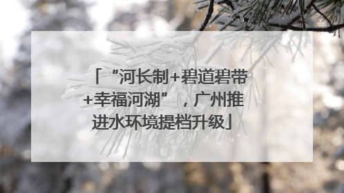 “河长制+碧道碧带+幸福河湖”，广州推进水环境提档升级