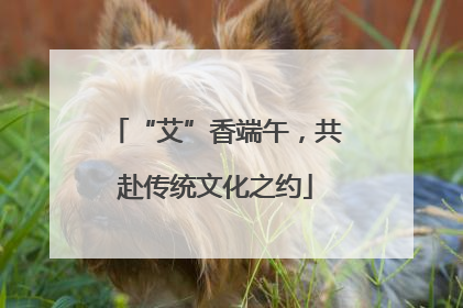“艾”香端午，共赴传统文化之约