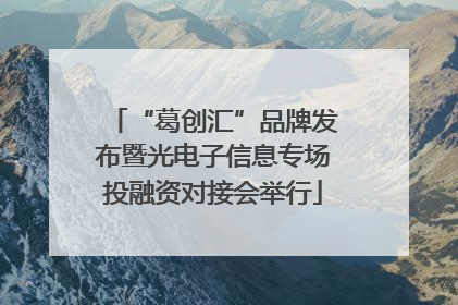 “葛创汇”品牌发布暨光电子信息专场投融资对接会举行