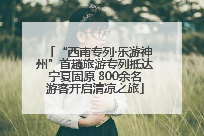 “西南专列·乐游神州”首趟旅游专列抵达宁夏固原 800余名游客开启清凉之旅