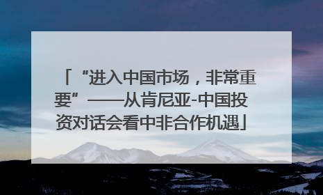 “进入中国市场，非常重要”——从肯尼亚-中国投资对话会看中非合作机遇