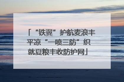 “铁翼”护航麦浪丰 平凉“一喷三防”织就夏粮丰收防护网