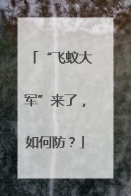 “飞蚁大军”来了，如何防？