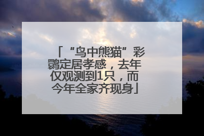 “鸟中熊猫”彩鹮定居孝感，去年仅观测到1只，而今年全家齐现身